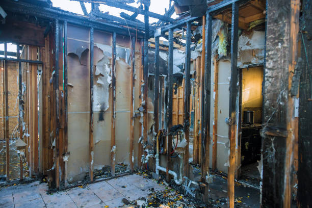 Professional Fire Damage Assessment technician working in Iona, FL